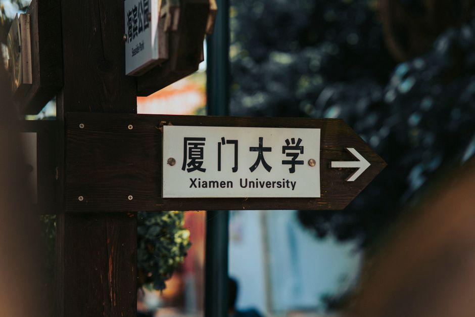 International education environment and application planning